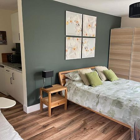 Studio Apartment Near Shannon Airport Exterior photo