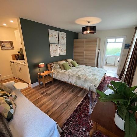 Studio Apartment Near Shannon Airport Exterior photo