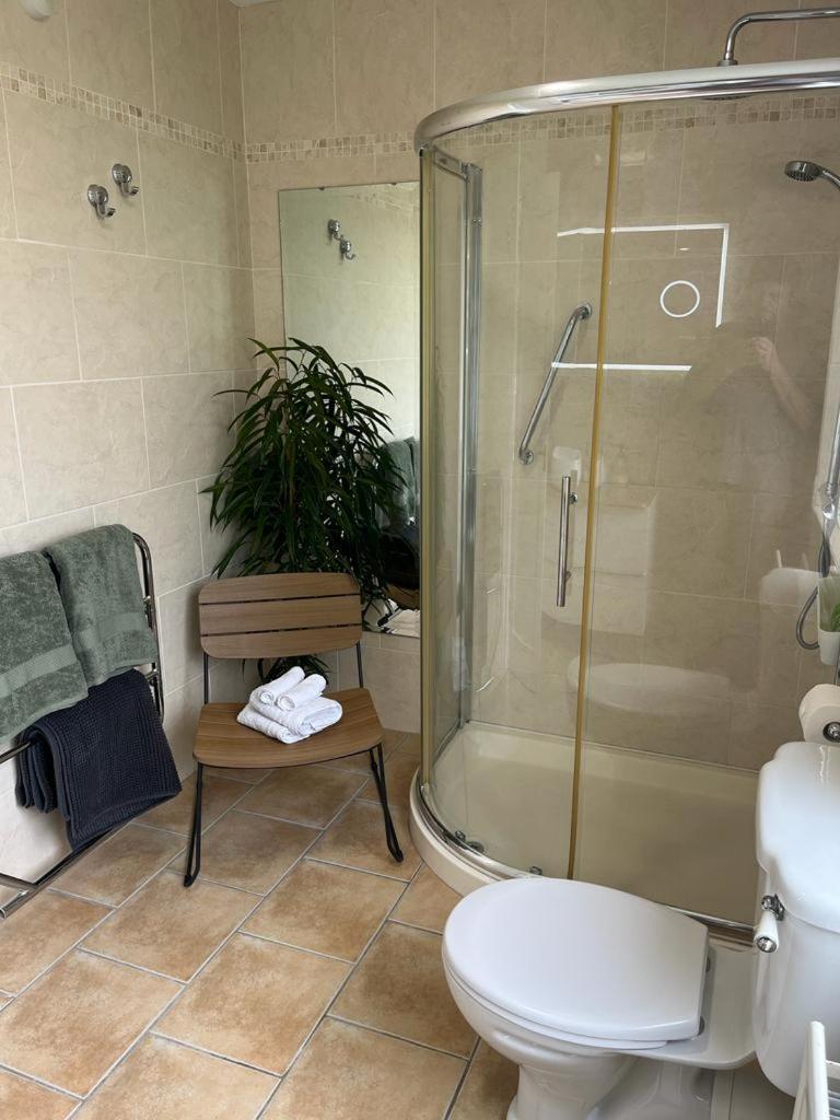 Studio Apartment Near Shannon Airport Exterior photo
